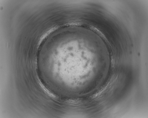 X0000062130725200512091149