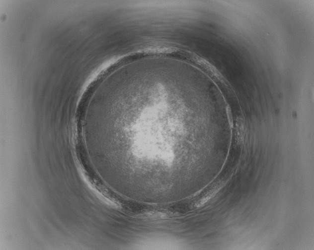 X0000062130726200512091149