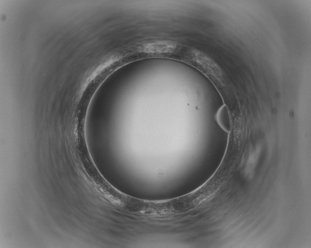 X0000062130727200512091149