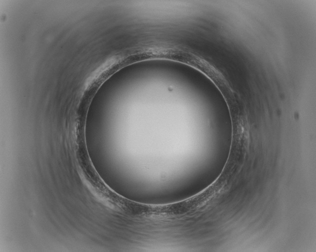 X0000062130730200512091149