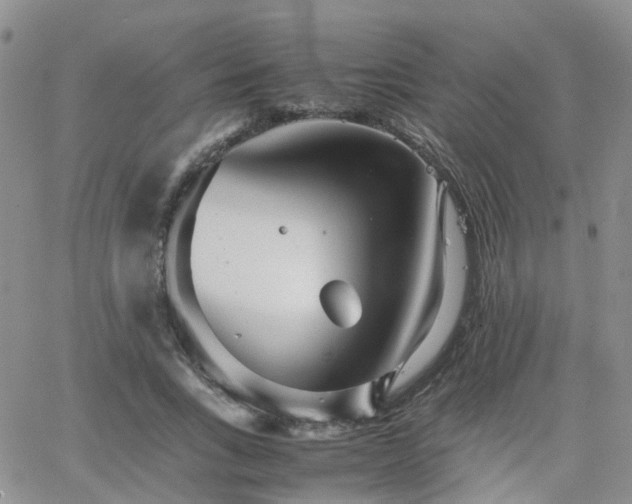 X0000062130735200512091149