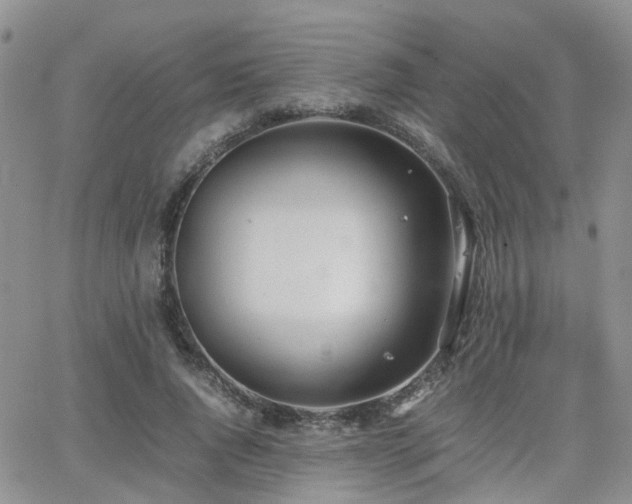 X0000062130736200512091149