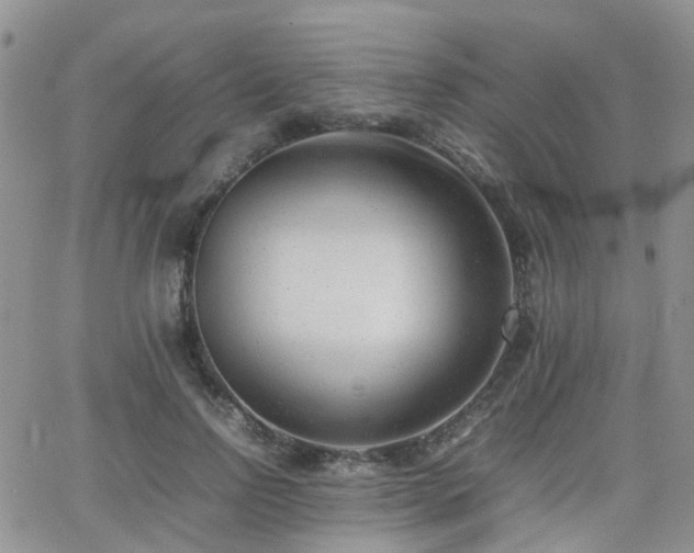 X0000062130742200512091149