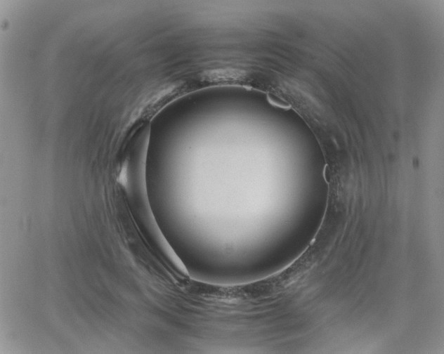X0000062130743200512091149