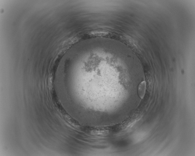 X0000062130745200512091149