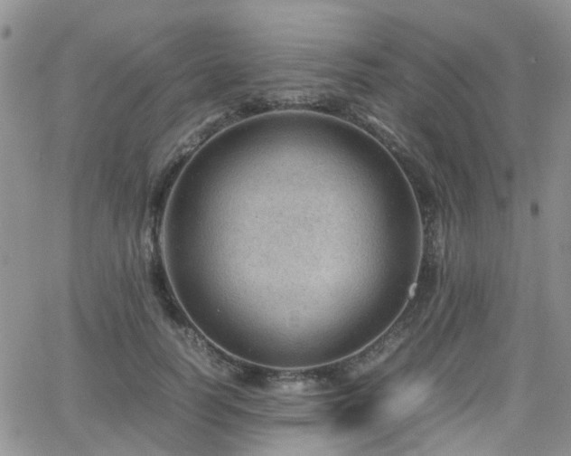 X0000062130746200512091149