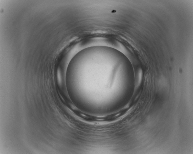 X0000062130750200512091149