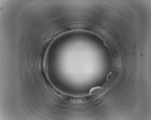 X0000062130751200512091149