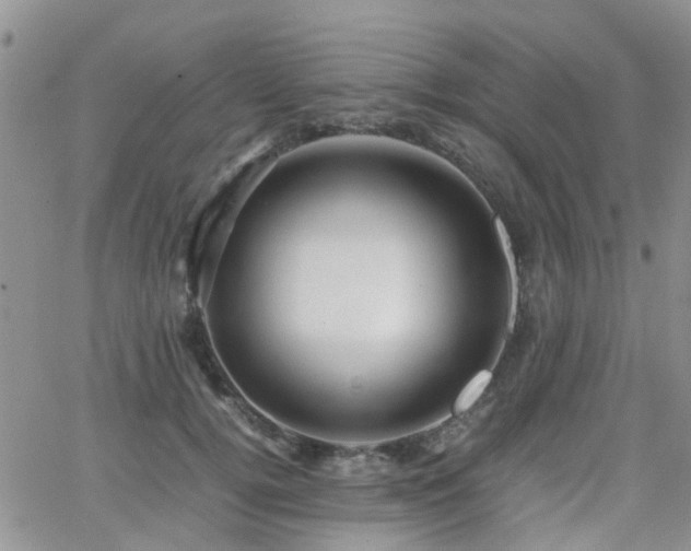 X0000062130752200512091149
