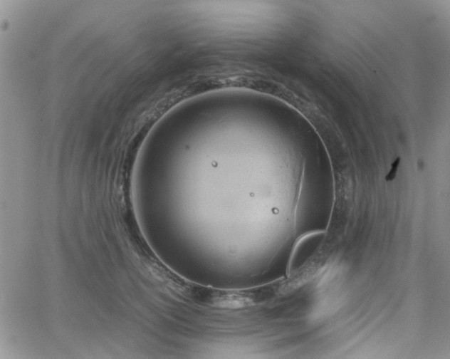 X0000062130754200512091149