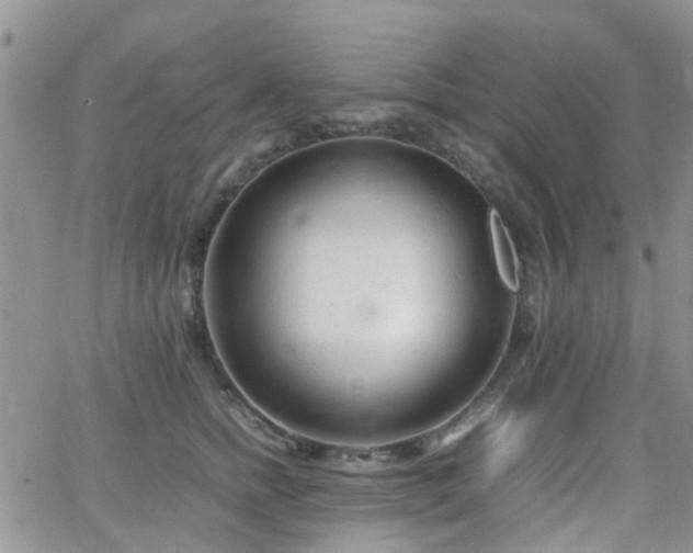 X0000062130758200512091149