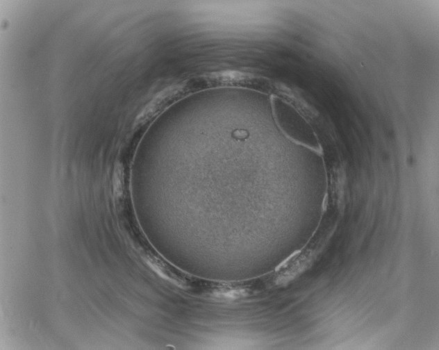 X0000062130760200512091149