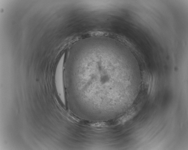 X0000062130761200512091149