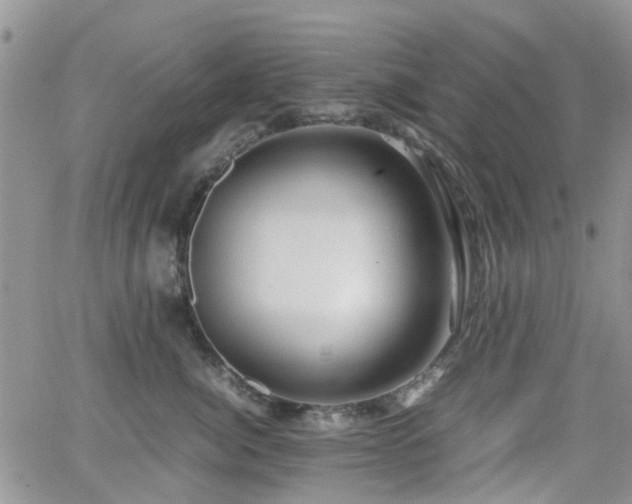 X0000062130764200512091149