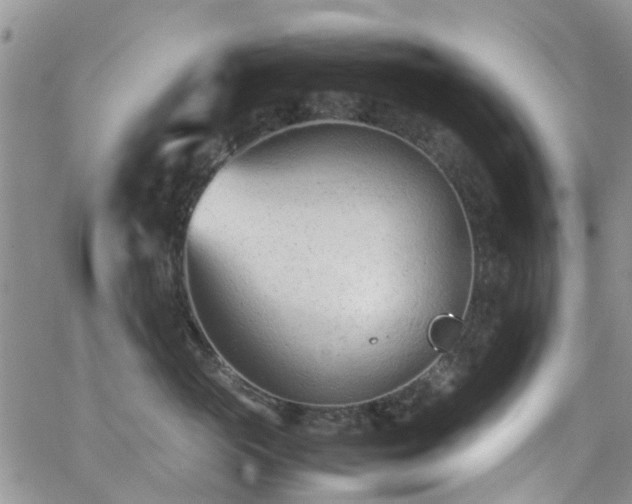 X0000062130765200512091149