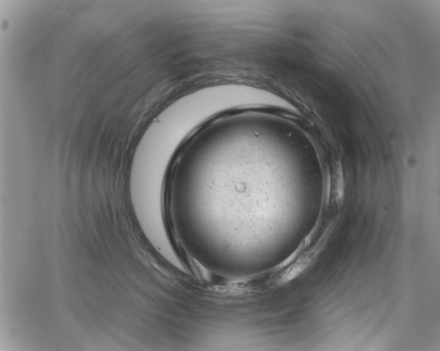 X0000062130766200512091149