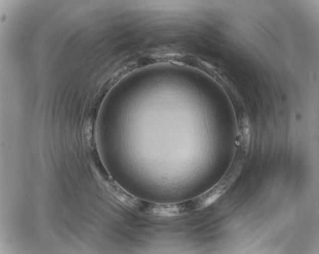 X0000062130767200512091149