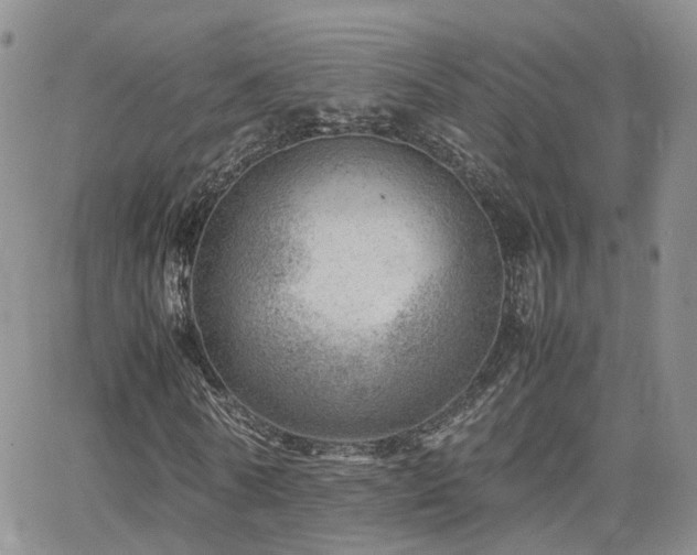 X0000062130770200512091149