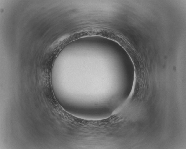 X0000062130773200512091149