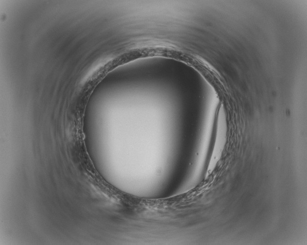 X0000062130775200512091149