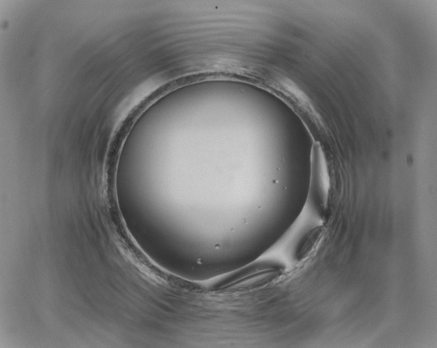 X0000062130780200512091149