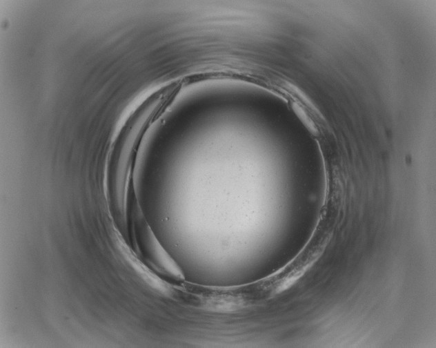 X0000062130788200512091148