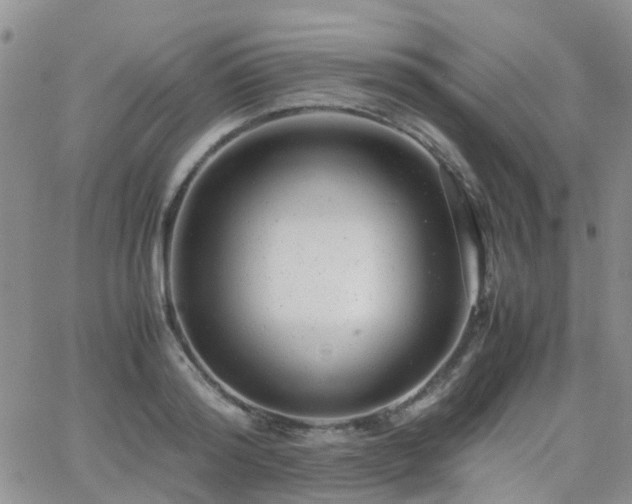 X0000062130796200512091148