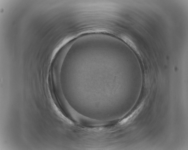 X0000062130797200512091148