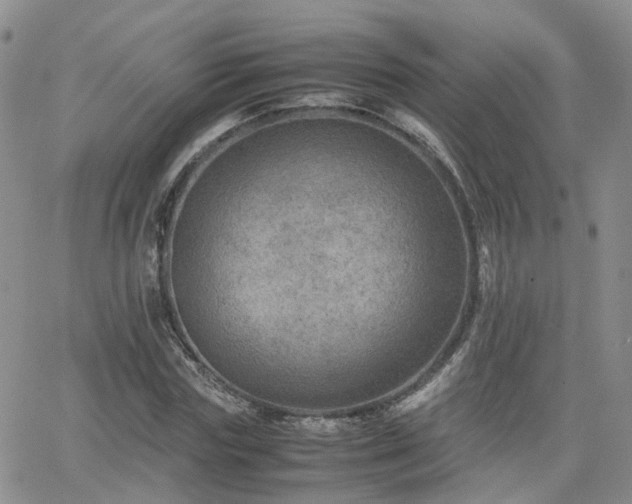 X0000062130827200512091147