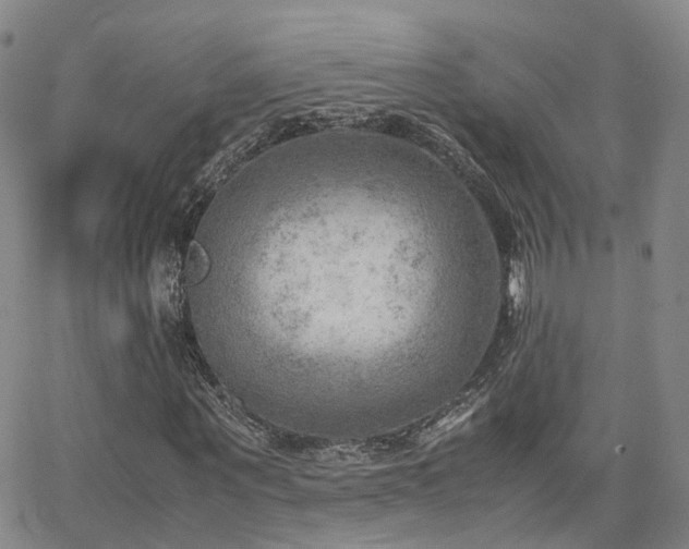 X0000062130867200512091147