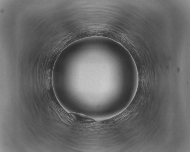 X0000062130868200512091147