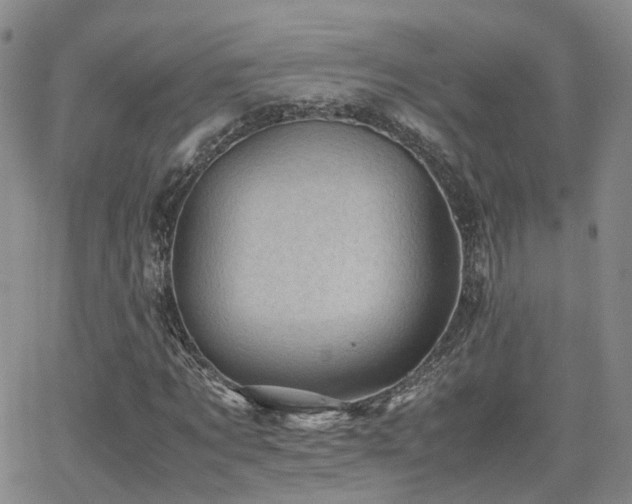 X0000062130869200512091147