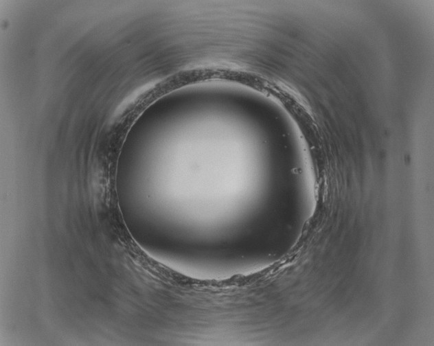 X0000062130872200512091147