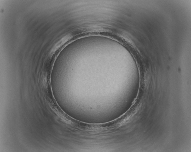 X0000062130873200512091147