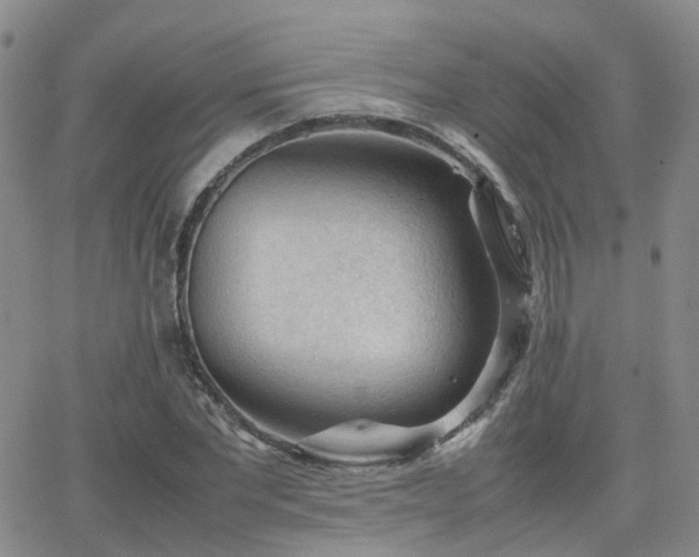 X0000062130877200512091147