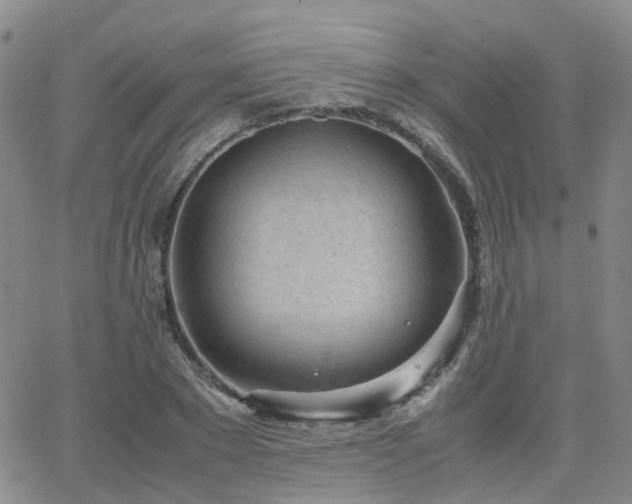 X0000062130881200512091147