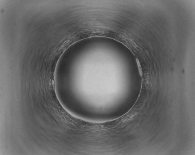 X0000062130916200512091146