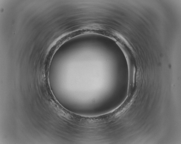X0000062130923200512091146