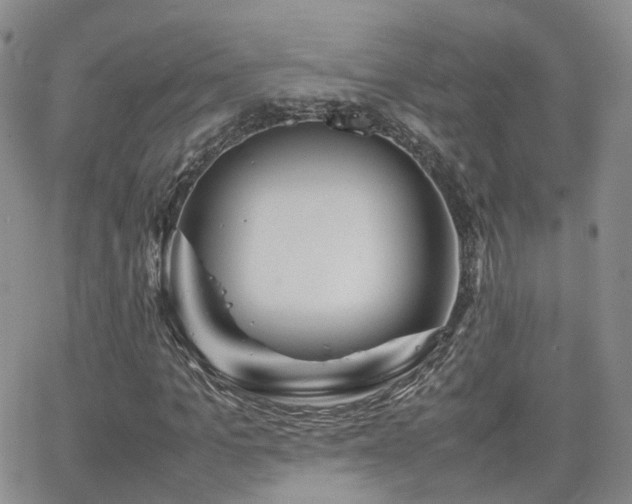 X0000062130965200512091146