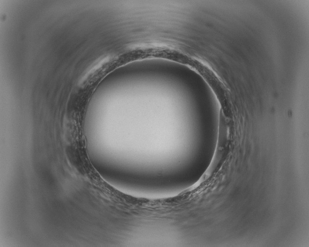 X0000062130967200512091145