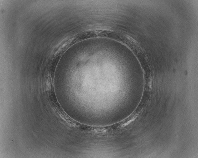 X0000062131014200512091144