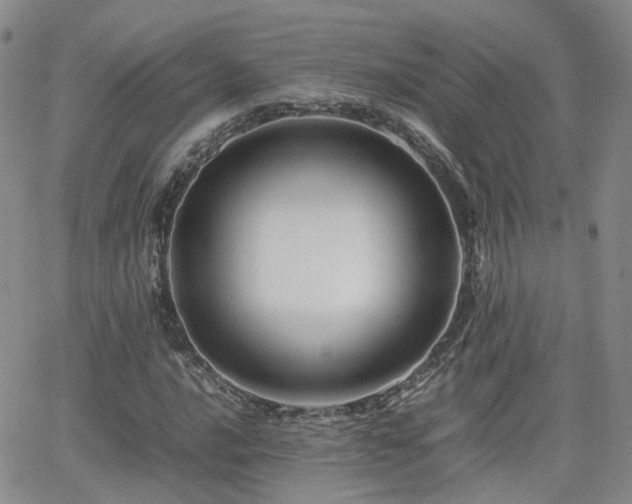 X0000062131016200512091144
