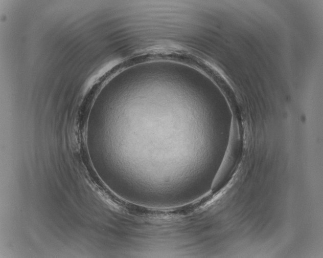 X0000062131018200512091144