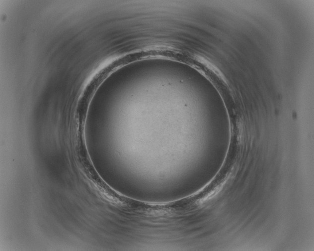 X0000062131021200512091144