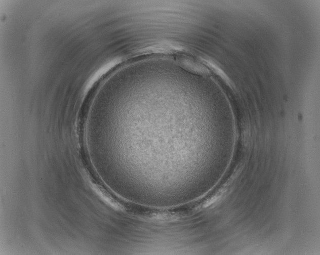 X0000062131026200512091144