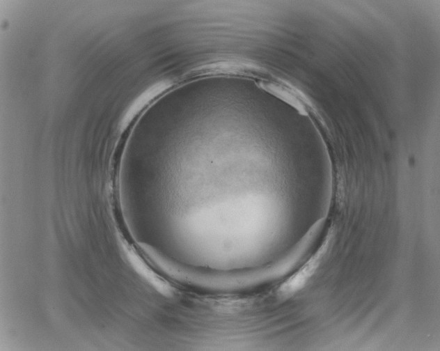 X0000062131042200512091145