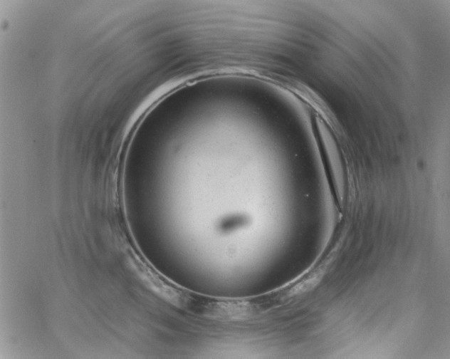 X0000062131052200512091145