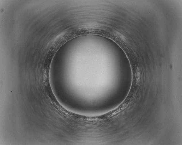 X0000062131062200512091144