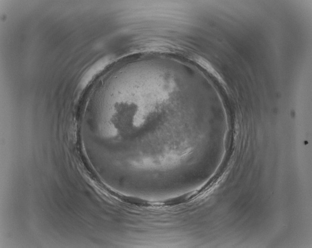 X0000062131067200512091144