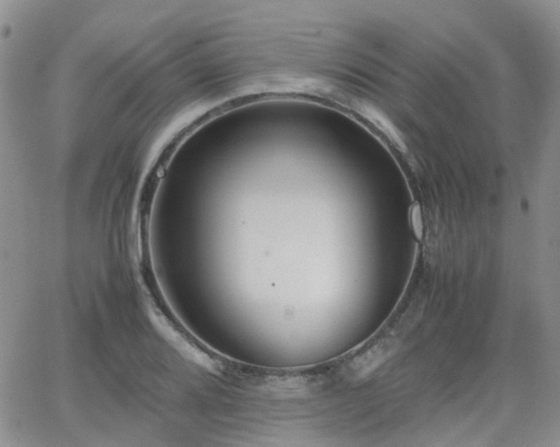 X0000062131080200512091144